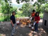 宜秀区大龙山镇百华社区：土鸡唱响脱贫“致富曲” 