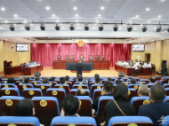 合肥：惡勢(shì)力集團(tuán)非法放貸暴力討債，最高獲刑十七年半