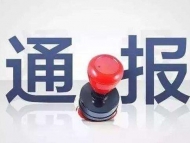 亳州市涡阳县义门镇党委书记赵云超接受审查调查