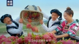  时政微视频丨丰收正当时