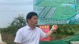 【中部崛起势正劲 安徽篇】亳州市药王村田园综合体“华丽变身”
