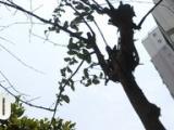 肥东：新建高层小区必须安装可拍摄高空抛物摄像头