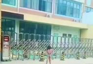 “利辛一小女孩多次到幼兒園門口想要上學”后續：今日男孩已經上了幼兒園