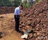 铜陵一矿堆里惊现生锈炮弹  长40cm重25kg