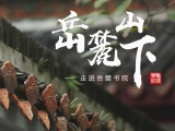 习近平湖南行丨走进千年学府岳麓书院
