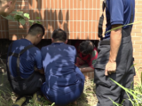淮北一老人被卡地下室窗户 消防及时救出