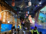 合肥海洋世界喜迎中秋国庆，畅享“鳞动生色——金鱼展”