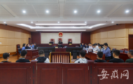 以借款之名實施“套路貸”  宣州法院開庭審理嚴某等十三人涉惡案