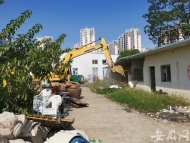合肥一廠區私搭亂建被拆除  復原土地30畝