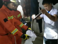 劇毒“五步蛇”驚現(xiàn)村民家中 祁門消防聯(lián)手蛇科所捕獲
