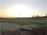 肥西紫蓬镇：建好蔬菜大棚 助力乡村振兴