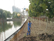橡膠壩清淤后，南淝河上恢復(fù)船只通行