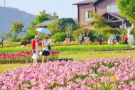 安徽省文旅廳發(fā)布國(guó)慶·金秋百條精品線路
