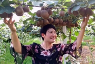 慶豐收迎小康|果園飄香果農笑，合肥特色水果進入豐產期