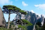 黄山西海大峡谷北入口至二循环恢复对外开放