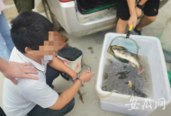 蕪湖警方打掉從事長江流域非法捕撈犯罪團伙 抓獲16名犯罪嫌疑人