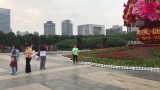 巨型国庆花坛亮相合肥街头