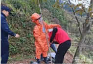 歙縣毒馬蜂蜇傷多位村民   重傷者轉杭州治療