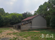 宣城六旬老夫妻路邊先后遇害 嫌疑人當(dāng)天被抓獲