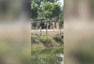 臨泉一父子回家途中被同村人下毒手 家屬講述事發前遭遇