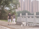 养犬新规实施已一月有余， 纠正不文明养犬行为3365起