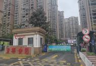 合肥已有26918只狗狗領到犬牌