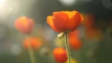 李良旭:都挺好