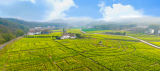 滁州市一村入选全国乡村旅游重点村