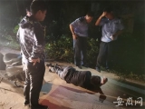 男子醉酒深夜躺路边  巡逻民警暖心救助获称赞