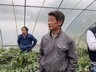 【網(wǎng)聚美好安徽?決戰(zhàn)脫貧攻堅(jiān)】石臺(tái)縣：辣椒越長(zhǎng)越火紅 日子越過(guò)越紅火