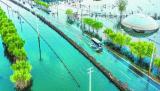 国道G330庐江同大镇境内水淹路段半幅恢复通行