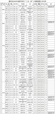 滁州2020年高校畢業生“三支一扶”計劃擬招募人員公示