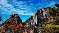 秋高氣爽登山季 黃山美景醉游人