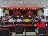 肥西县柿树岗：凝聚人才力量 助力乡村振兴