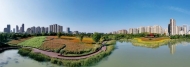 全款买房失手，合肥楼市“热”了？下一个风口是……