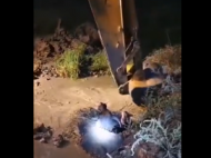 青陽(yáng)：水牛落入廢棄水井 民警找來(lái)挖機(jī)營(yíng)救