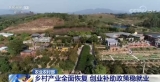 农业农村部：我国乡村产业全面恢复 返乡留乡农民工就业渠道有效拓宽