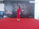 豪装·澎湃于心——巢湖站 与您一起见证豪装、科技之美