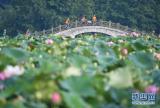 守好绿水青山 换来金山银山——福建三明市践行“两山论”样本观察