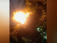 馬蜂蜇傷4人  警方出動挖掘機“剿滅”巨型蜂窩（視頻）