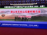 潜山市“天柱山瓜蒌籽”专场推介会在合肥举行