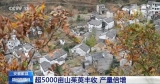 安徽歙县古城“非遗”夜市再现“徽府盛景”