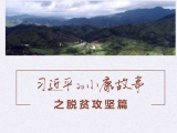 習近平的小康故事丨“我很期盼的一件事”