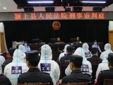 颍上王振青、王玉楠等21人涉恶案件开庭审理