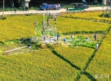  线路改造助力万亩农场产业升级