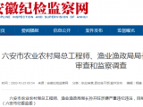 六安市农业农村局总工程师、渔业渔政局局长孙开旺接受审查调查