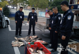 宁国警方打掉3个非法捕捞团伙  抓获9名涉案人员