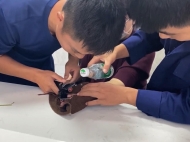 蕪湖：女子戒指卡手 消防巧妙施救