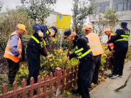 合肥路政全線整治合淮路路肩農作物