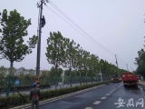 合肥新站高新区3条道路集中“拔杆”  高压杆线入地